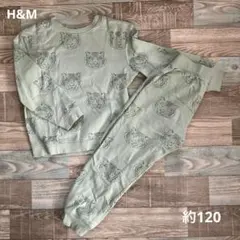 H&M トラ柄　スウェット　上下 セットアップ　120サイズ　裏起毛