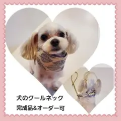 icyon!様 犬用 保冷剤付きネッククーラー ドット柄 ハンドメイド SS2点