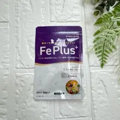 Item thumbnail for item f82968d7-60b4-46f6-bc13-209c2b37c824