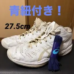 青紐付き！ バッシュ ASICS ゲルフープv16 27.5cm
