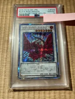 2026年最新】ブラックローズドラゴン psa10の人気アイテム - メルカリ