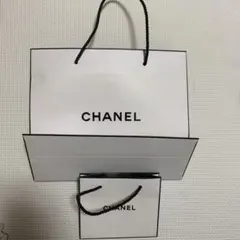 CHANEL ショップ袋 大小セット