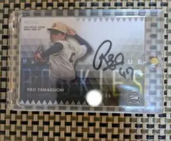 Item thumbnail for item f1235bf7-32b1-4a02-9d3c-0264cf6e8a7c