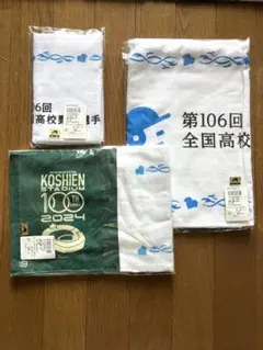 第106回全国高校野球選手権 フェイスタオル 高校野球