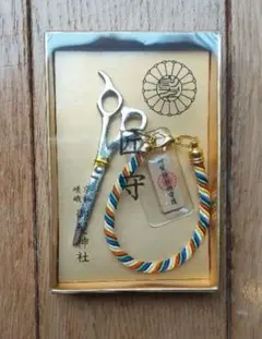 Item thumbnail for item c2bd8589-d200-49f7-96ed-c450f2769d9d