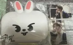 Straykids オンラインくじ ミニボックス リノ　Leebit