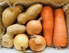 ちょっぴり贅沢♪1〜2人様用の低農薬お野菜セット　1キロ以上　カスタムOK♪