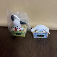 ダンボールウォッチ　ポチャッコ　シナモン