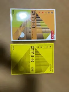 【新品未使用】新課程 チャート式 解法と演習 数学II+B（黄色チャート）解答付