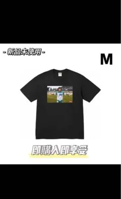 Item thumbnail for item 409cce04-6c03-474c-85bb-44b727536669