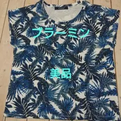 Item thumbnail for item e69f9002-2cda-4007-b06a-38a5b7cc6550