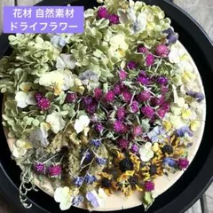 ひまわり アナベル 千日紅 ビオラ ドライフラワー 花材 自然素材 レジン