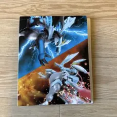 ポケモンカード　ファイル　カードのおまけ付き