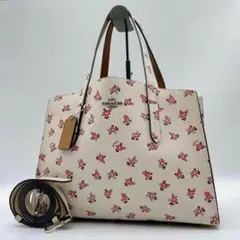 2026年最新】ローラキャリーオールcoachの人気アイテム - メルカリ