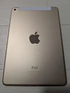 iPad mini 4 Wi-Fi+Cellular 64GB