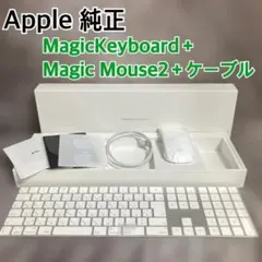 新品 純正 Apple MagicKeyboard キーボード マウス ケーブル