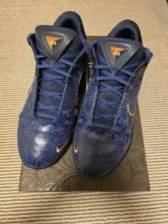 2026年最新】lebron 22の人気アイテム - メルカリ