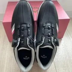 Item thumbnail for item 428f0317-65d8-434f-bbdd-43921a307c1d