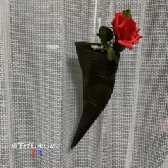 2025年最新】水牛の角 壁掛けの人気アイテム - メルカリ