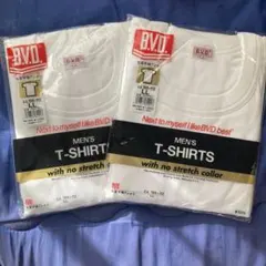 Item thumbnail for item 56c6ca7c-2931-4227-bfae-8c1d63b5d0ae