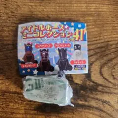 アルナシーム　中京記念　アイドルホースミニコレクションvol.41