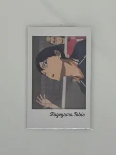 ハイキュー キャラポトレ 影山飛雄