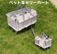 Item thumbnail for item d092a1f9-2cb6-4b3d-9733-b1c921593e74