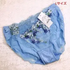 Lサイズ　トリンプ　プレミアムデザイン天使のブラスリムラインショーツ