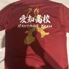 【専用】 早稲田　ハンドボール　Tシャツ 早稲田大学 ハンドボール Tシャツ XLサイズ - メルカリ