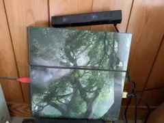 PlayStation 4 本体 木の模様 セット