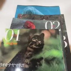 2026年最新】週刊日本の天然記念物の人気アイテム - メルカリ