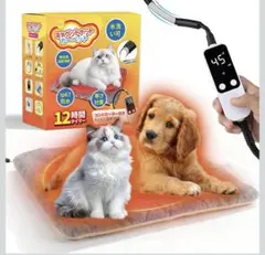 Item thumbnail for item bffb3984-06cf-494f-ac4b-0f1581db2997