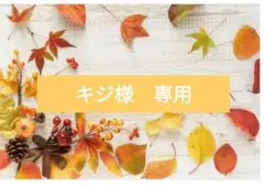専用　手描きリクエストイラスト