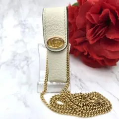 2025年最新】gucci リップケースの人気アイテム - メルカリ