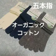 オーガニックコットン 五本指靴下 3色セット