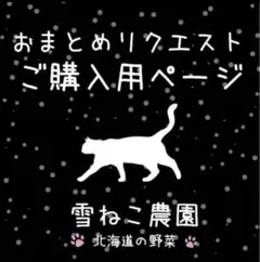 ぽーりん様専用【北海道産】インカのめざめ 種芋500g