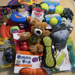 犬のおもちゃ 13個セット 中型犬 フルーツボーン コング 知育玩具