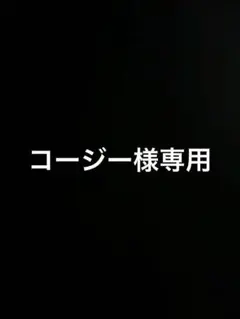 コージー様専用