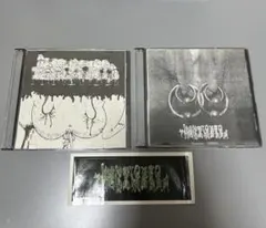 PISSGRAVE含む！ゴア／デス系 8枚セット Goregrind 良盤 V.A. - Gore And Bizarre Grind Warriors From Japan (CD