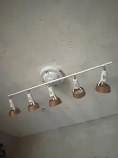 Item thumbnail for item 4ac40b09-40d5-42e8-bdd1-cf75d648c24b