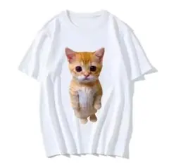 子猫プリント ホワイトTシャツ
