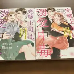 完璧上司は溺愛中毒～今日もひたすら甘く誘惑されてます～ 1.2