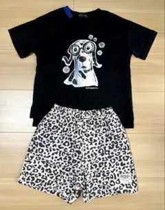 Tシャツ 水陸両用パンツ 110cm BREEZE ズッパディズッカ