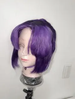 最終値下げ⟡.·胡蝶しのぶ コスプレ ウィッグ セット済み