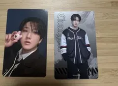 チャンビン　dominATEランダムフォトカードSKZOOたまごっち　トレカ