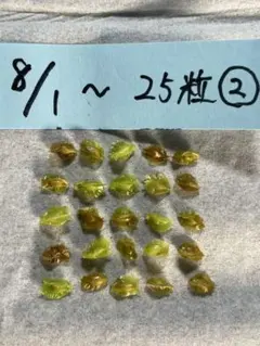 Youyou_プロフ必読様 リクエスト 2点 まとめ商品