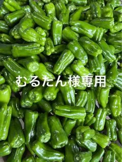 むるたん様専用