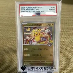 トウホクのピカチュウ P スカーレット&バイオレットスペシャルBOX ポケモン…のサムネイル