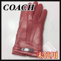 2025年最新】COACH 手袋・アームカバーの人気アイテム - メルカリ
