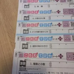 ぶんけい★算数小学5年　こたえ　てびきのサムネイル